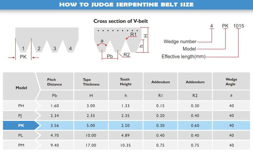 serpentine belt length chart