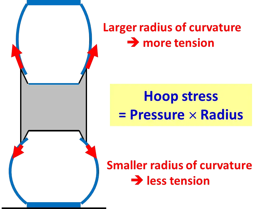 Does Tire Pressure Change with Weight