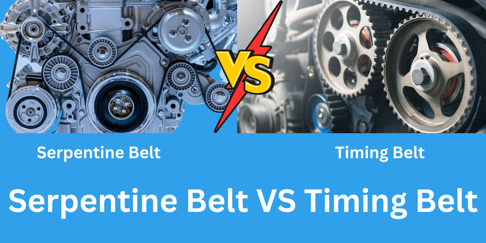 serpentine belt vs timing belt