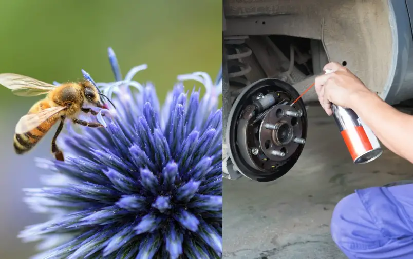 Does brake cleaner kill wasps