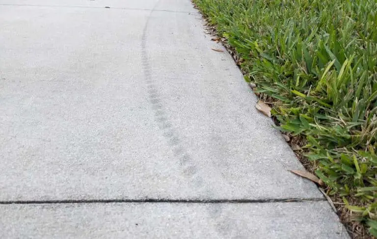 Do Tire Marks on Driveway Go Away