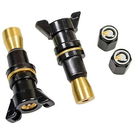 can you replace a valve stem without removing the tire